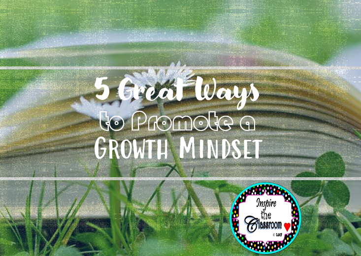 5 Great Ways to Promote a Growth Mindset